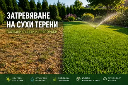 Затревяване на сухи и слънчеви терени