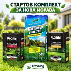 FLORIA PREMIUM стартов комплект за нова морава до 40 м²